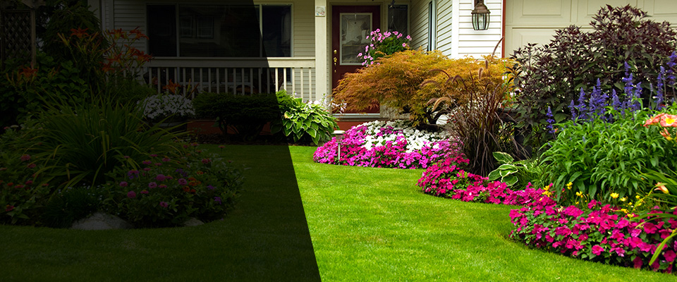 Las Vegas Landscapers