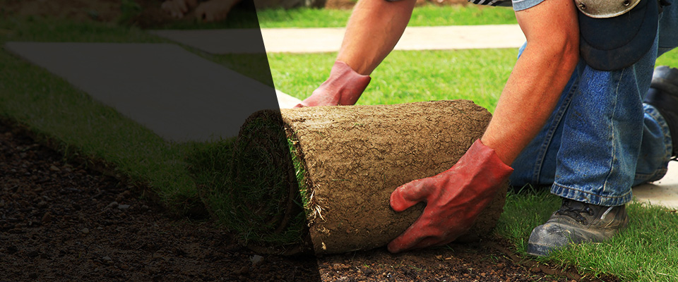 Las Vegas Landscapers